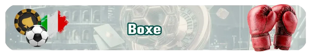 Scommesse sulla boxe: quote per i titoli mondiali dei pesi massimi.